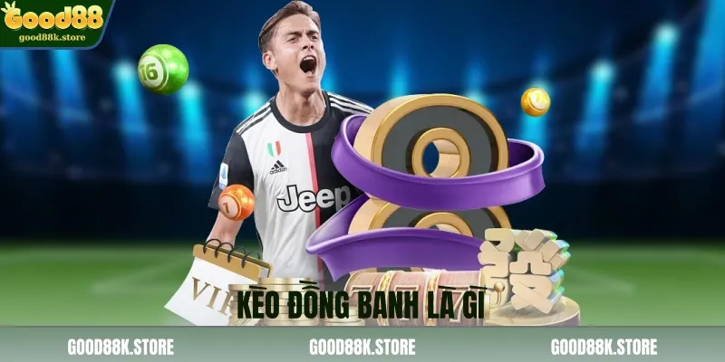 keo-dong-banh-la-gi_11zon