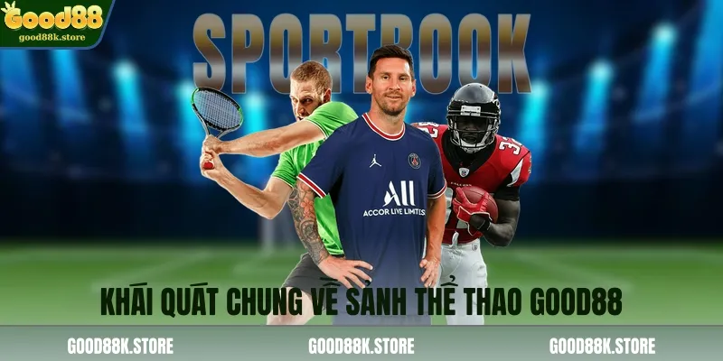 khai-quat-chung-ve-sanh-the-thao-good88_11zon