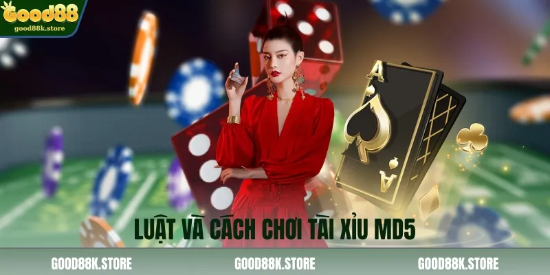 luat-va-cach-choi-tai-xiu-md5_11zon