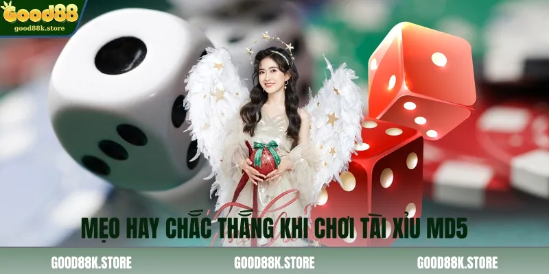 meo-hay-chac-thang-khi-choi-tai-xiu-md5_11zon