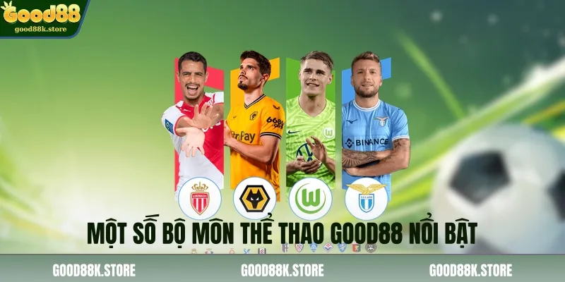 mot-so-bo-mon-the-thao-good88-noi-bat_11zon