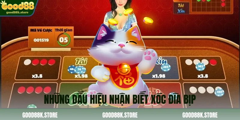 nhung-dau-hieu-nhan-biet-xoc-dia-bip_11zon