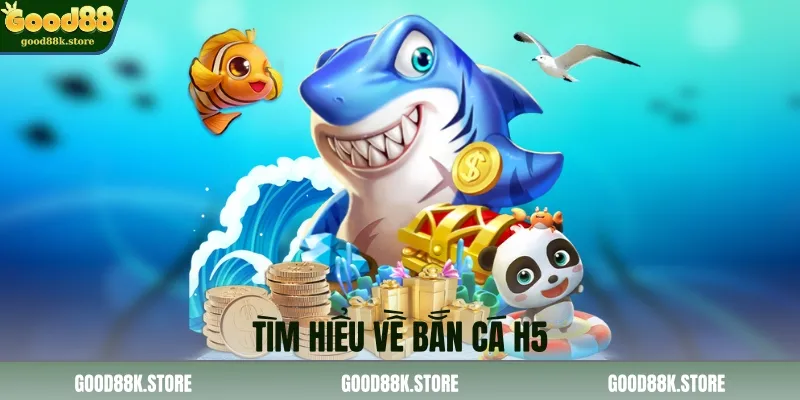 tim-hieu-ve-ban-ca-h5_11zon