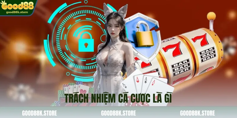 trach-nhiem-ca-cuoc-la-gi_11zon